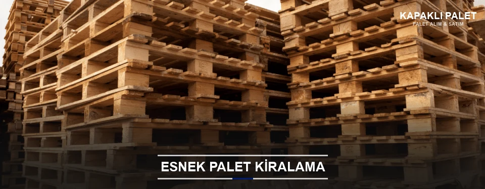 Kapaklı Uygun Fiyatlı Palet Kiralama Kapaklı Uygun Fiyatlı Palet Kiralama